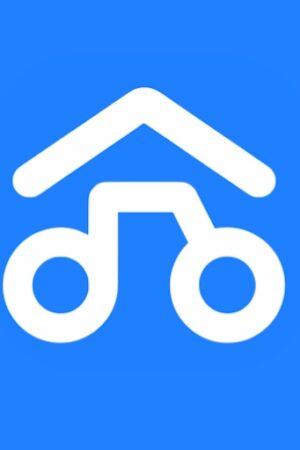 Copie de LOGO BIKIPI - 1